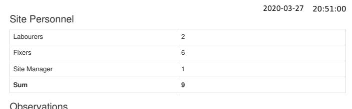 Daily-Report-Template-Manpower-information